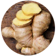 Jengibre